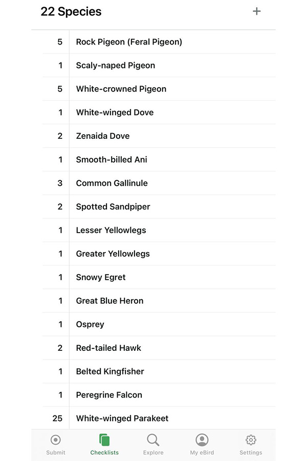 Registra tus observaciones en ebird