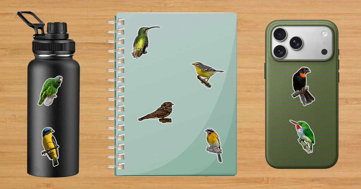 Stickers de Aves Endémicas de Puerto Rico